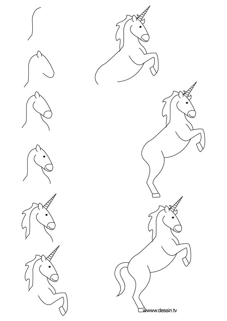 736x1040 Draw Unicorn How To Draw Unicorn Fairy Drawings, Doodles - Unicorn Simple Drawing