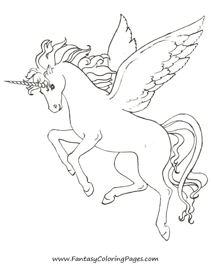Unicorn With Wings Drawing