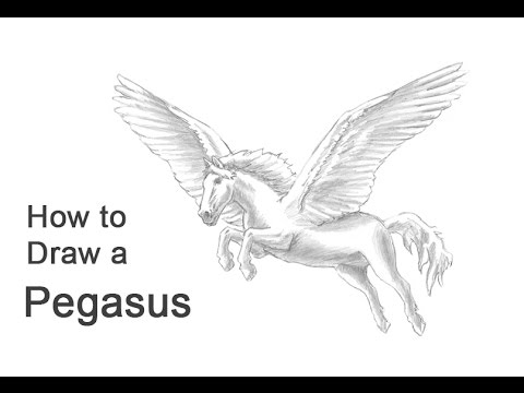 480x360 How To Draw A Pegasus - Unicorn With Wings Drawing