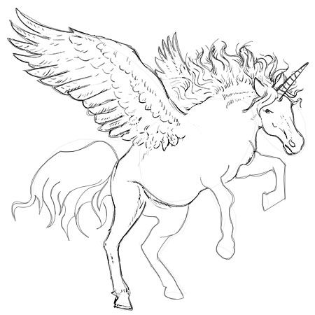 450x450 Paper Time Step - Unicorn With Wings Drawing