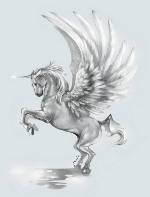 595x779 unicorn pegasus with wings unicorn wings, unicorn tattoos, unicorn - Unicorn With Wings Drawing