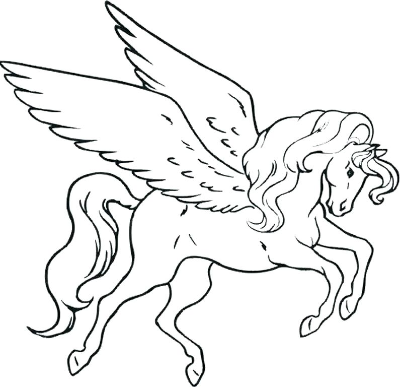 795x768 unicorn with wings coloring pages unicorn with wings coloring - Unicorn With Wings Drawing