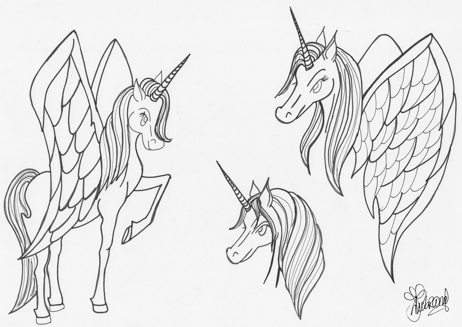 Unicorn With Wings Drawing at Explore collection