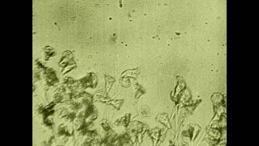 852x480 united states drawing and stock footage video - United States Drawing