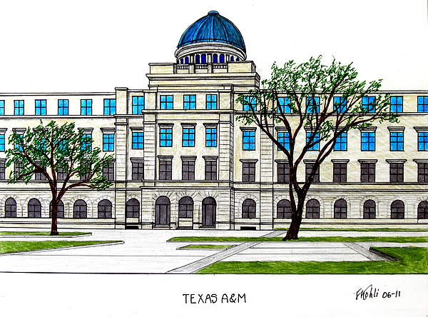 600x444 Texas Am University Drawing - University Drawing