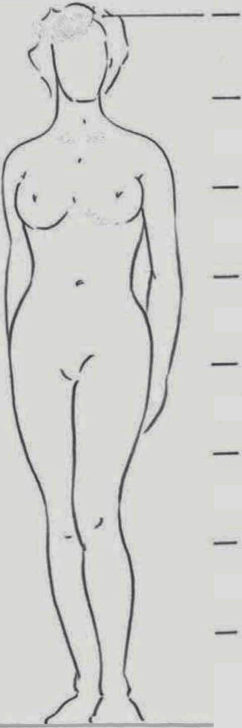 480x1440 Drawings Adult Body Proportions - Unrealistic Drawings