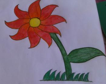 350x278 How To Draw How To Draw A Flower - Unrealistic Drawings