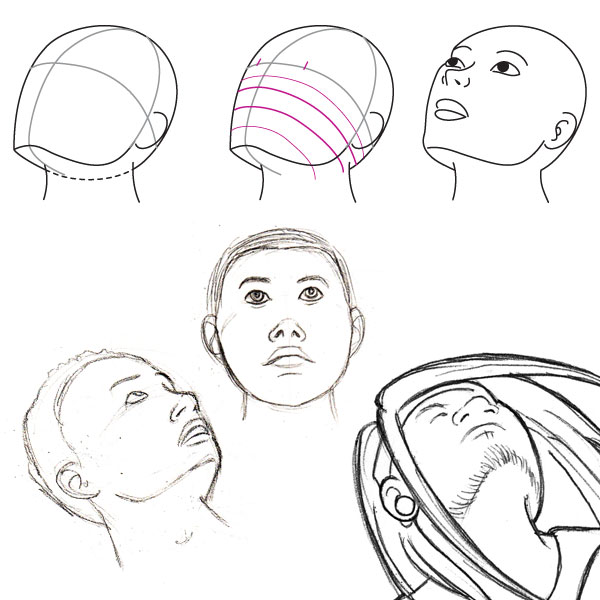 600x600 Human Anatomy Fundamentals Basics Of The Face - Up Drawing