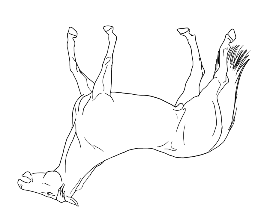 900x721 how to draw anything you see, part i draw upside down physician - Upside Down Drawing