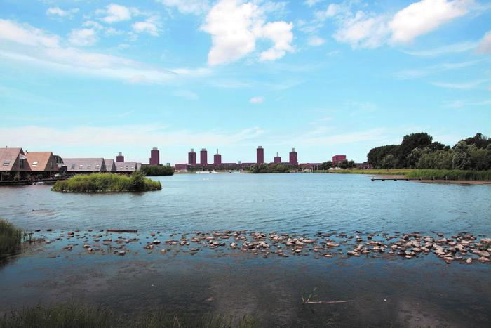 700x467 Drawing The Ground Ltbrgt Landscape Urbanism Today - Urban Landscape Drawing