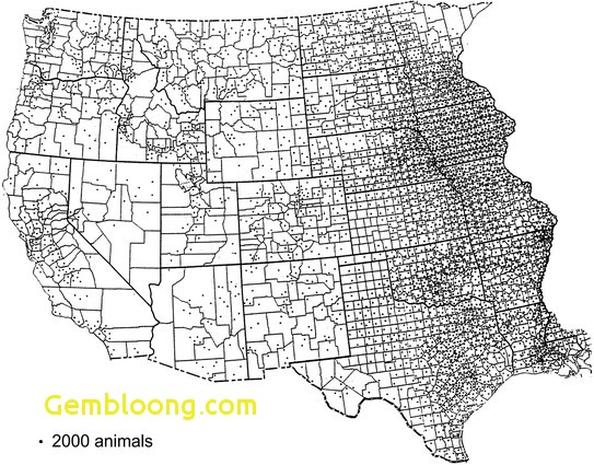 543x425 Us Map Test Elegant Draw The Usa Luxury United States Map Drawing - Us Map Drawing