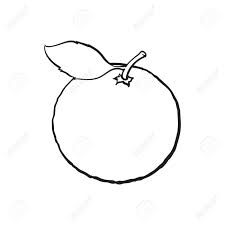 225x225 How To Draw Real Things - User Drawing