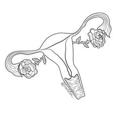 236x236 resultado de imagem para uterus drawing crdddd endometriosis - Uterus Drawing