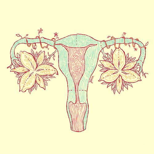 500x500 pretty uterus medically minded in art, anatomy art, art inspo - Uterus Drawing
