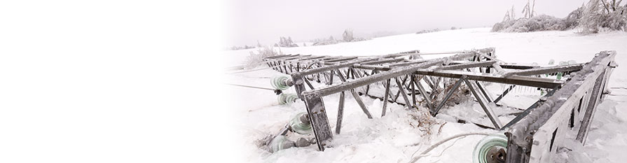 895x233 Rs Poles Composite Utility Poles - Utility Pole Drawing