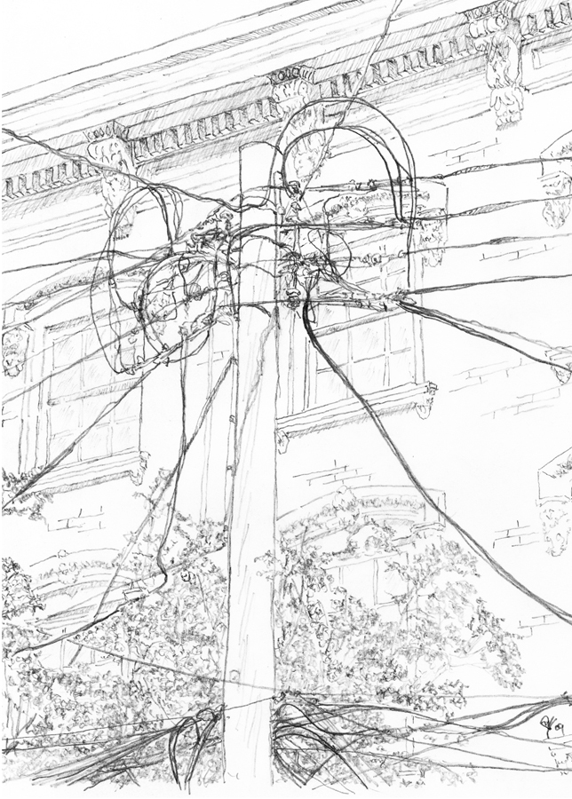 644x900 Utility Pole, Carroll Gardens, Brooklyn - Utility Pole Drawing