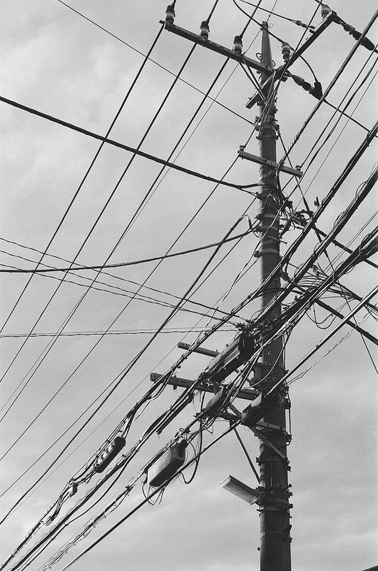 530x800  - Utility Pole Drawing