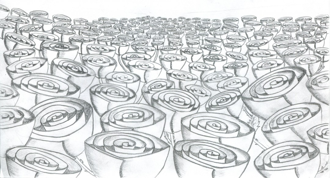 1080x584 rose valley - Valley Drawing