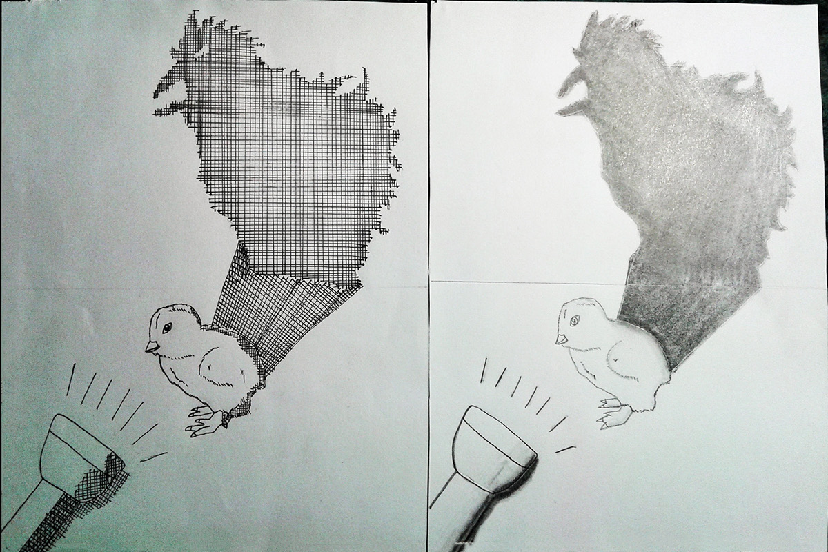 1200x800 Linevalue Drawing On Behance - Value Drawing