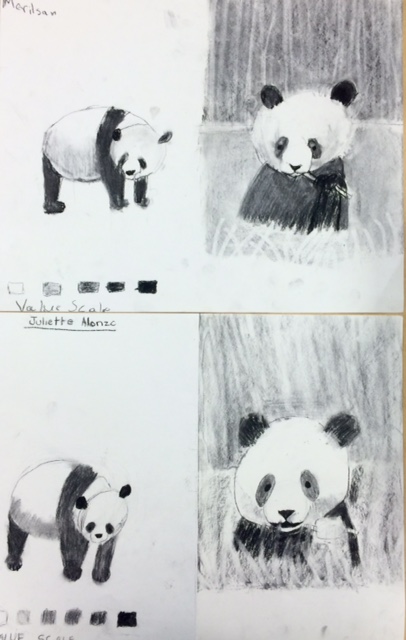 406x640 panda drawings charcoal value study - Value Study Drawing