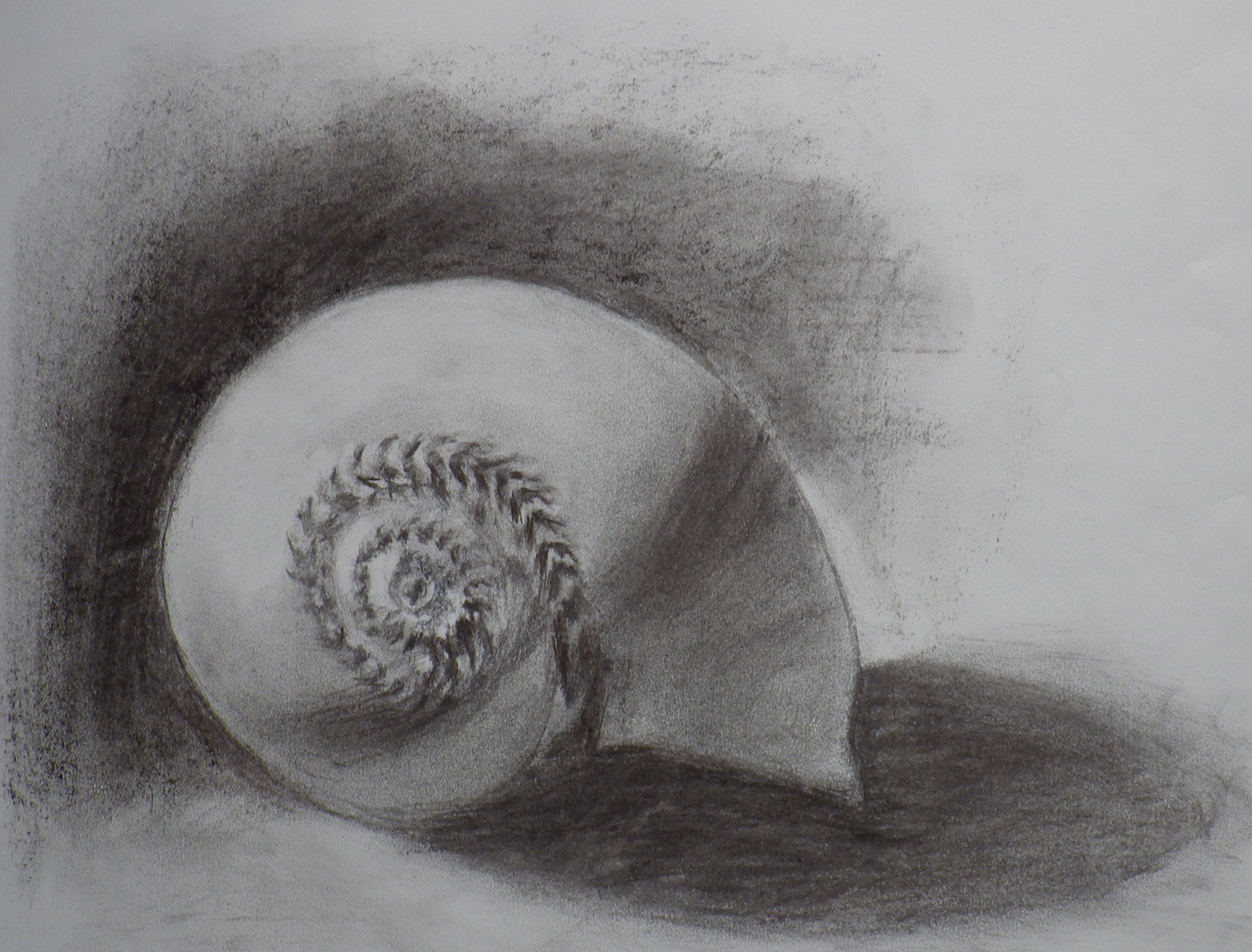 3158x2401 drawings value study - Value Study Drawing