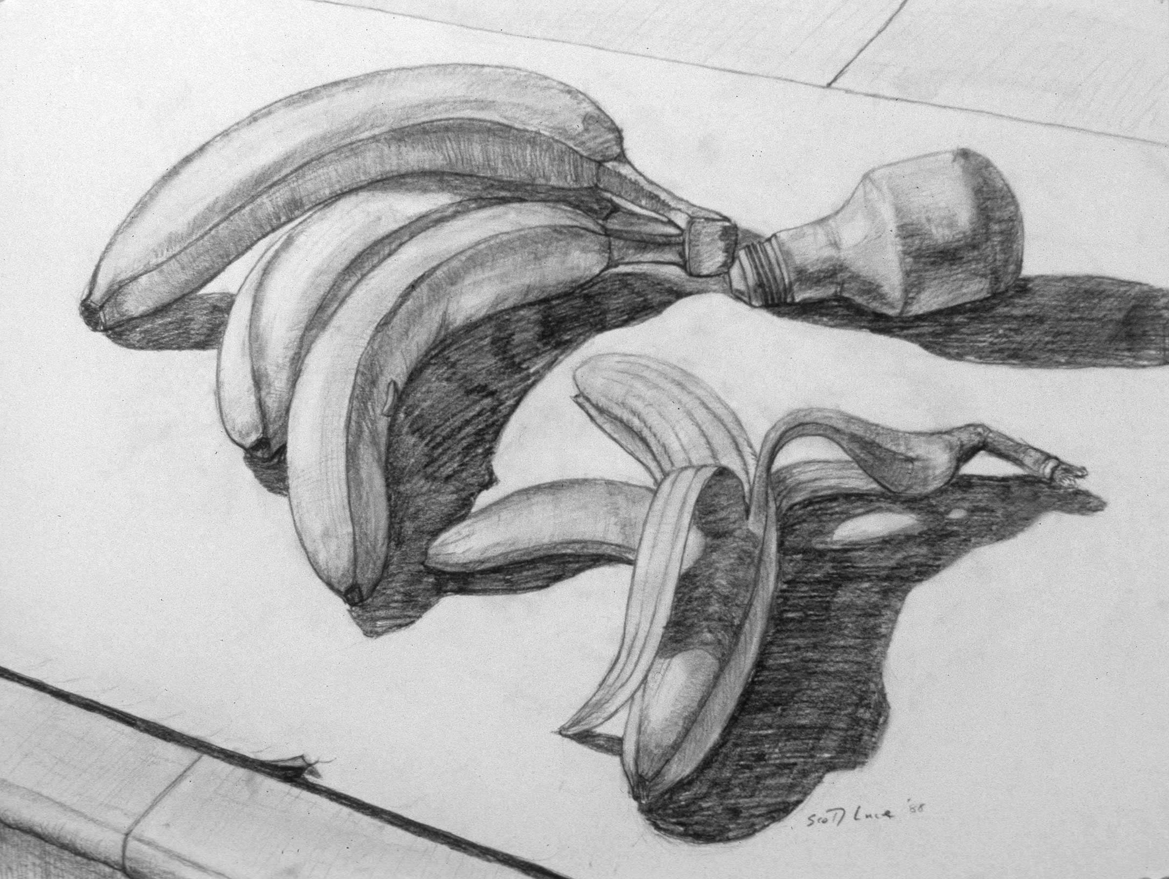 Value Study Drawing at Explore collection of Value