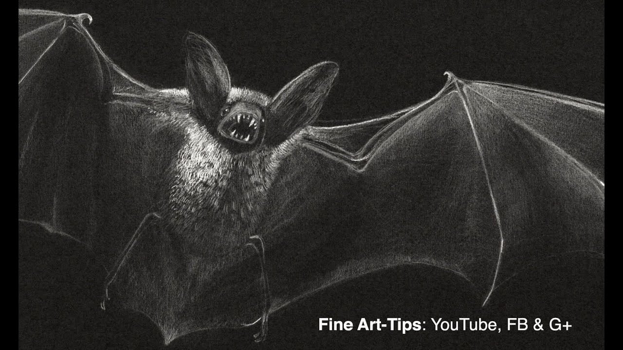 1280x720 how to draw a vampire bat - Vampire Bat Drawing