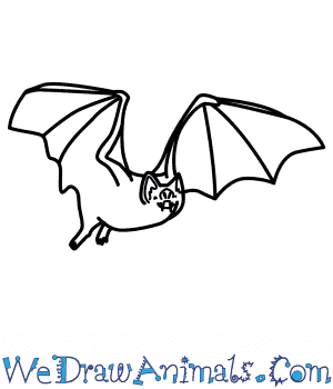 300x350 how to draw a vampire bat - Vampire Bat Drawing