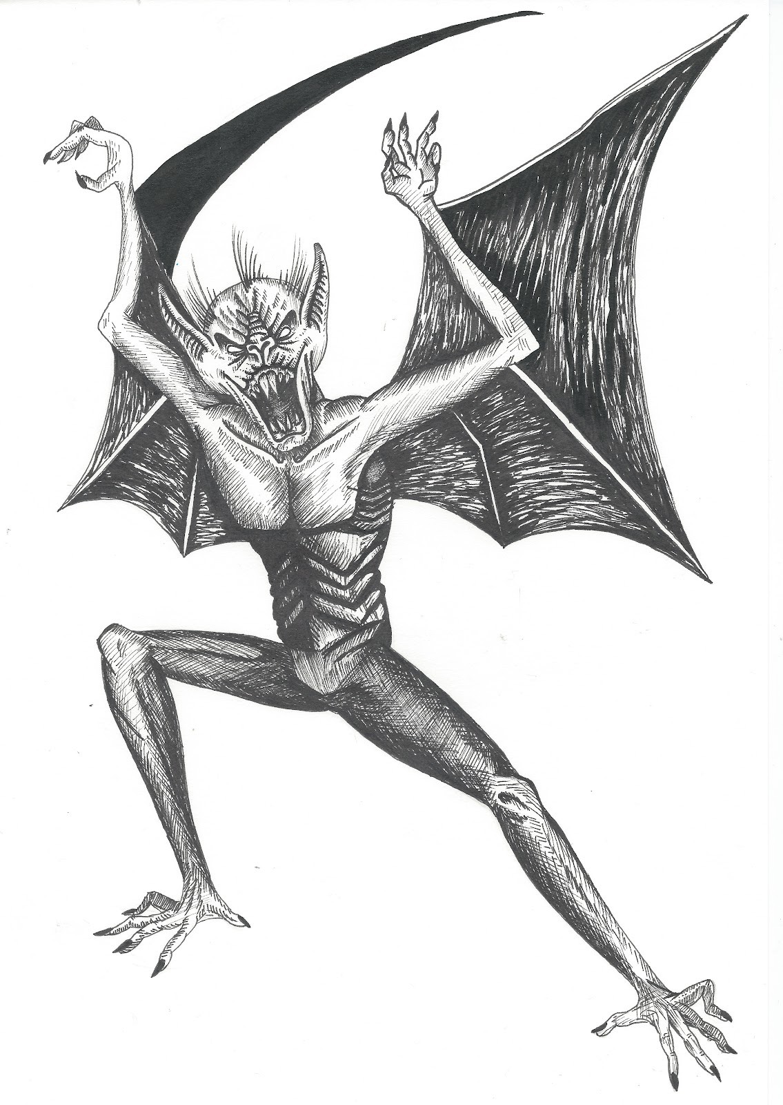1135x1600 vampire bat drawing - Vampire Bat Drawing