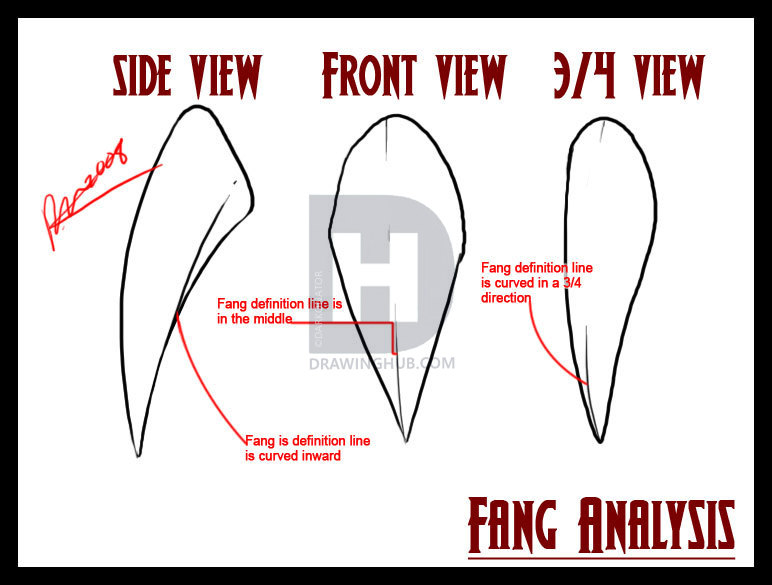 772x585 How To Draw Vampire Fangs And Teeth, Step - Vampire Fangs Drawing
