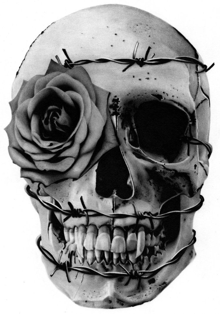 748x1067 vampire skulli always wanted to draw a skull in this drawing i - Vampire Skull Drawing