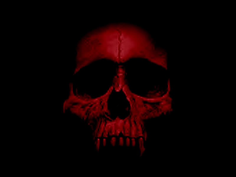 800x600 Vampire Skull Wallpaper - Vampire Skull Drawing