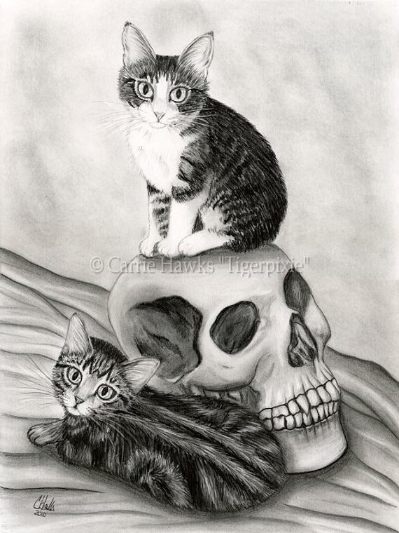 570x760 cat drawing witch's cat art tabby kittens cats vampire etsy - Vampire Skull Drawing