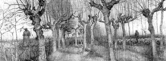700x260 vincent van gogh tree drawings - Van Gogh Drawings
