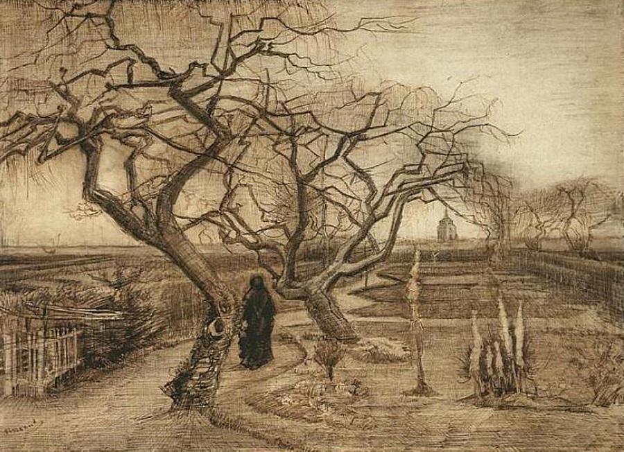 900x652 Winter Garden - Van Gogh Drawings