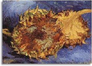 299x215 the paintings sunflowers - Van Gogh Sunflowers Drawing