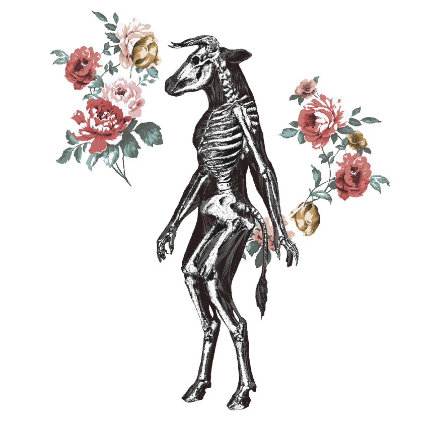 858x852 politics drawing vanilla bean transparent png clipart free - Vanilla Drawing