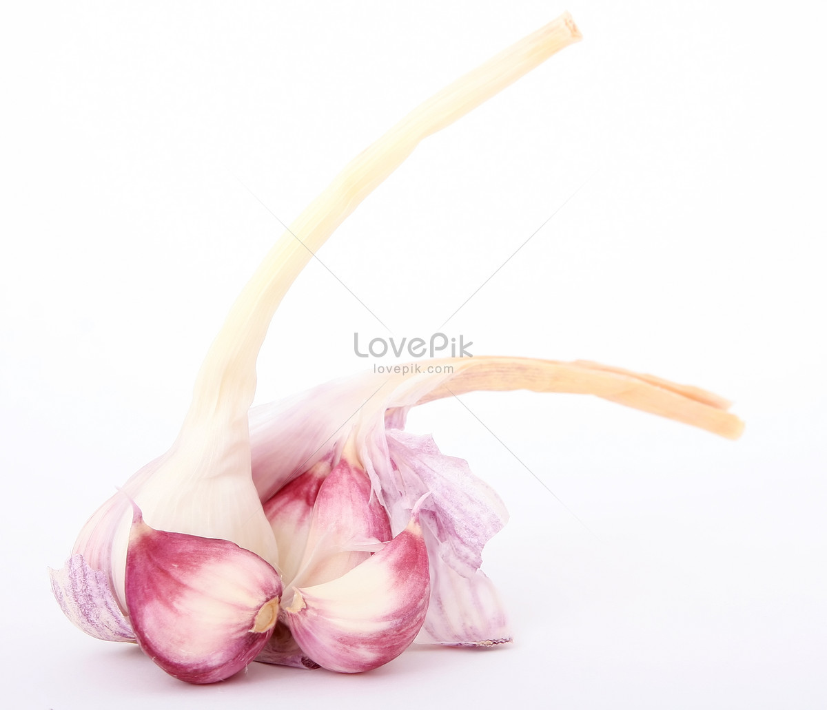 1200x1031 garlic vanilla drawing kitchen stick adornment photo image picture - Vanilla Drawing