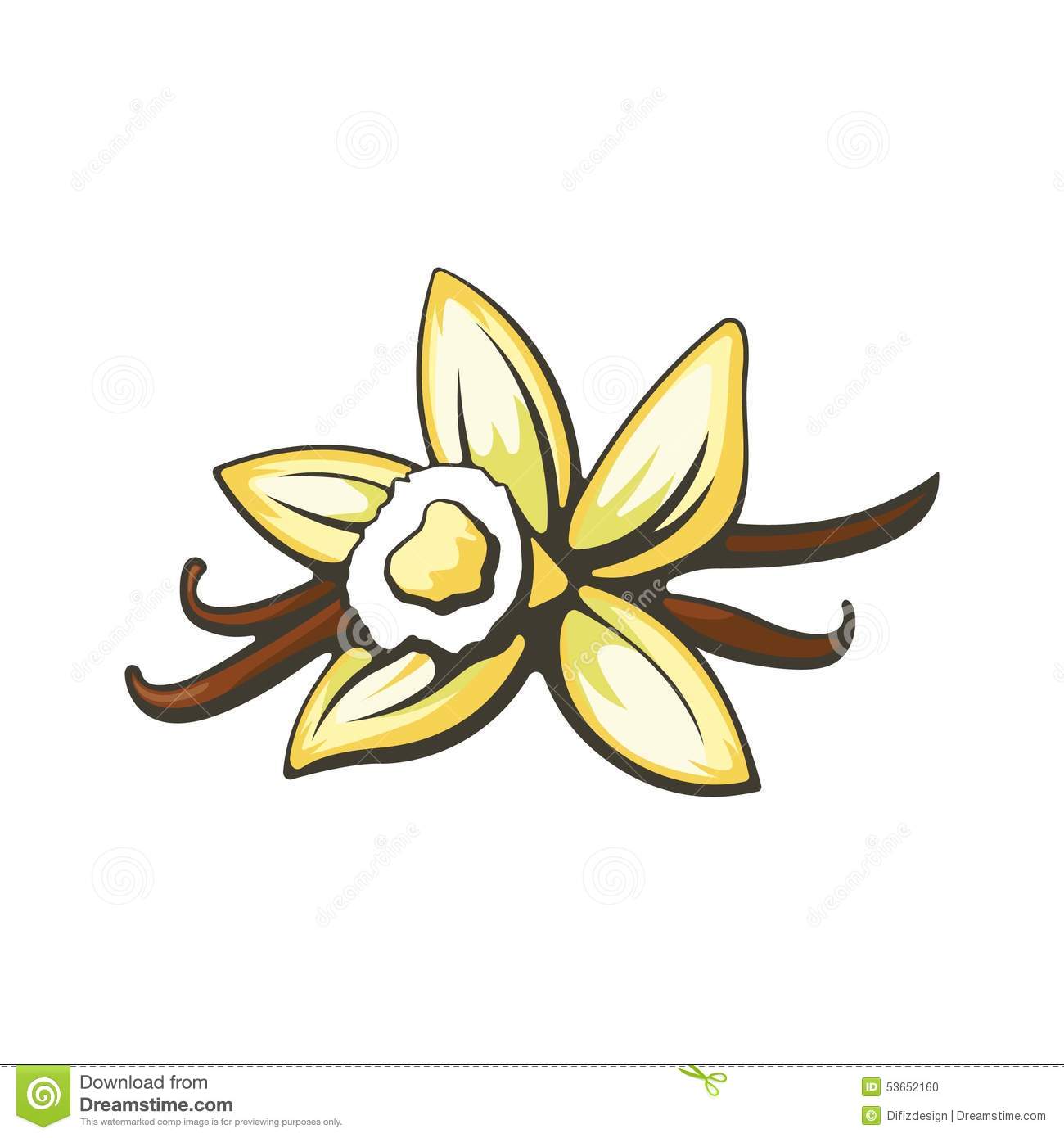 1300x1390 vanilla flower clipart great free clipart, silhouette, coloring - Vanilla Flower Drawing