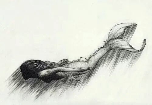 500x344 Swimming Discovered - Vanilla Sky Drawing