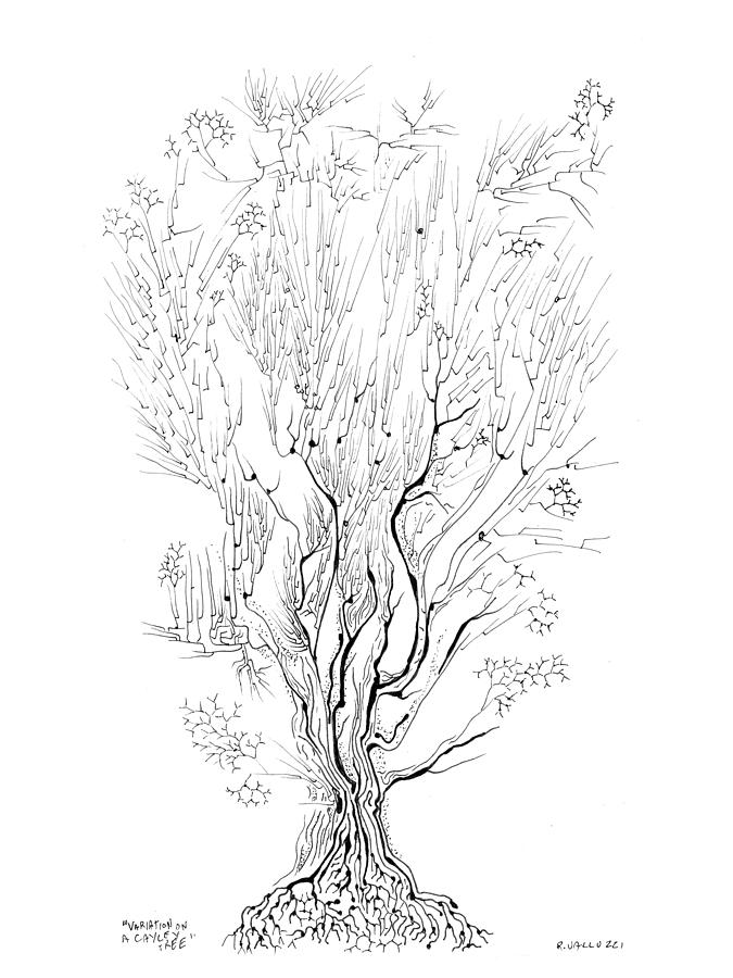 675x900 variation on a cayley tree drawing - Variation Drawing