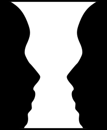 220x267  - Vase Face Drawing