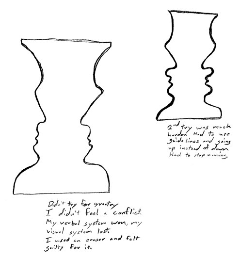 495x532 vases and faces image collections - Vase Face Drawing