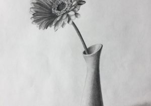 300x210 Still Life Flower Drawing How To Draw A Flower Vase - Vase Pencil Drawing