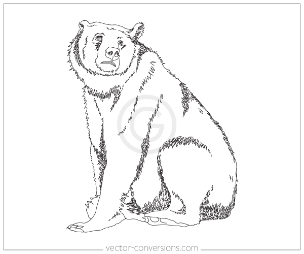 600x500 Vector Line Art Options - Vector Art Drawing