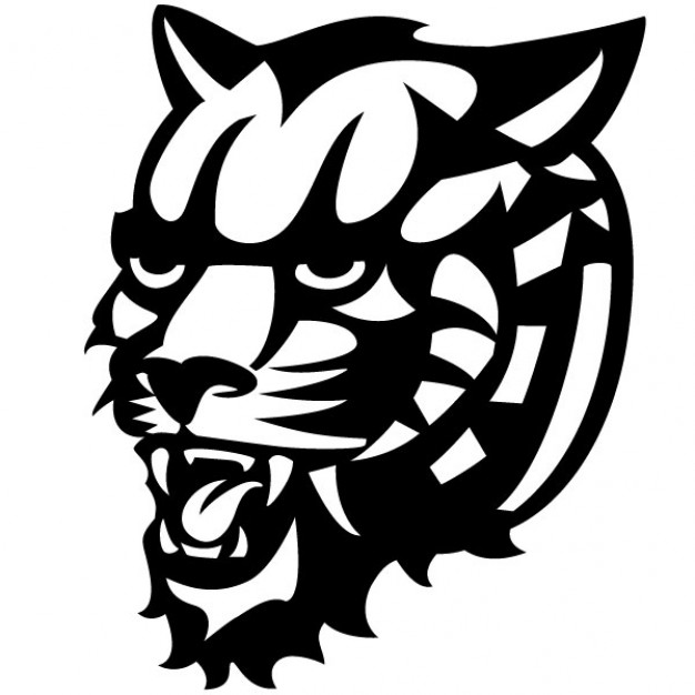 626x626 angry tiger head vector drawing vector free download - Vector Drawing