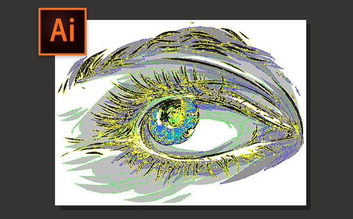 725x450 create a complete vector illustration send your work - Vector Drawing