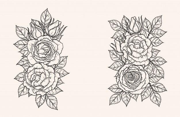 626x406 Line Drawing Vectors, Photos And Free Download - Vector Line Drawing