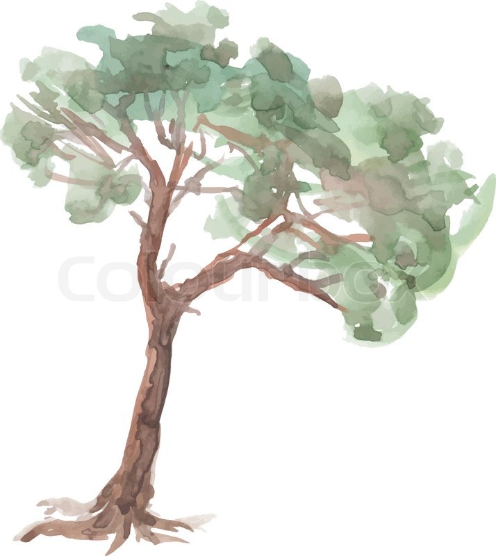 714x800 Pine Tree On A White Background Stock Vector Colourbox - Vector Tree Drawing