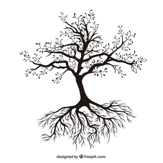 626x626 root vectors, photos and free download - Vector Tree Drawing